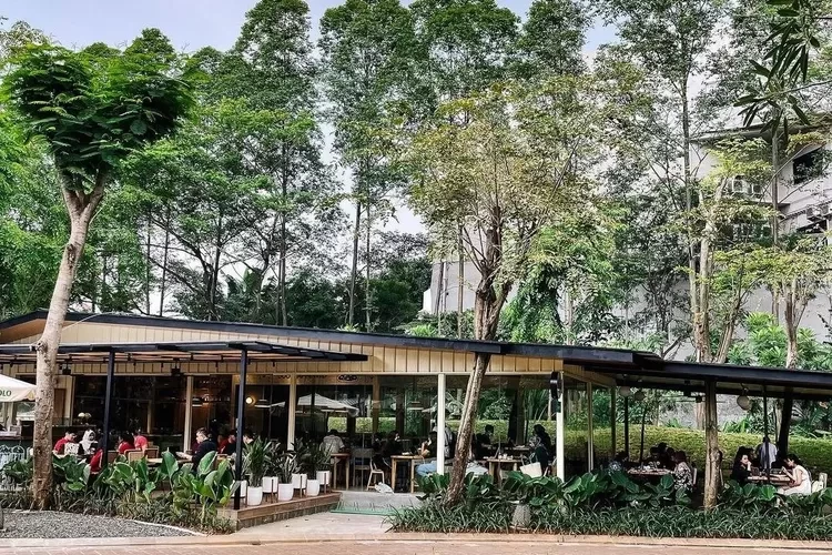 Tempat Nongkrong Kekinian Penuh Estetika, Urban Forest Cipete