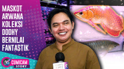 Intip Koleksi Hobi Baru Dodhy Kangen Band Yang Bernilai Fantastis | Cumicam | 9/1/2024