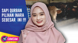 Keseruan Inara Rusli Memilih Sapi Untuk Qurban Tahun ini | CUMICAM