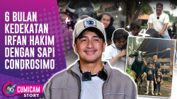 Kisah Irfan Hakim Dengan Condrosimo Sapi Qurban Tahun Ini | CUMISTORY