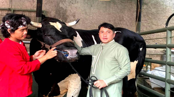 Diberi Nama Hingga Diajak Ngobrol, Irfan Hakim Beri Perlakuan Spesial ke Hewan Kurbannya