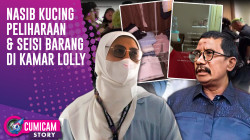 Keberadaan Lolly Terungkap! Begini Nasib Peliharaan & Seisi Barang Di Apartemen | CUMISTORY