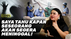 Mushukda semiz xorozning videosi