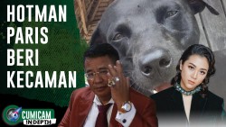 Hotman Paris & Sherina Munaf Beri Kecaman kepada Oknum yang Sebabkan Anjing Canon Mati
